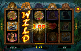 Exotic Cats Spielautomat kostenlos spielen