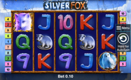 Silver Fox Slot kostenlos spielen