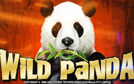 Wild Panda Spielautomat
