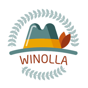 50 Free Spins - Bonus ohne Einzahlung von Winolla für neue Spieler